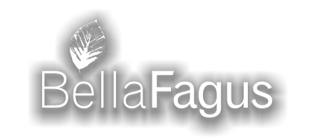 Bellafagus asztalos műhely logo